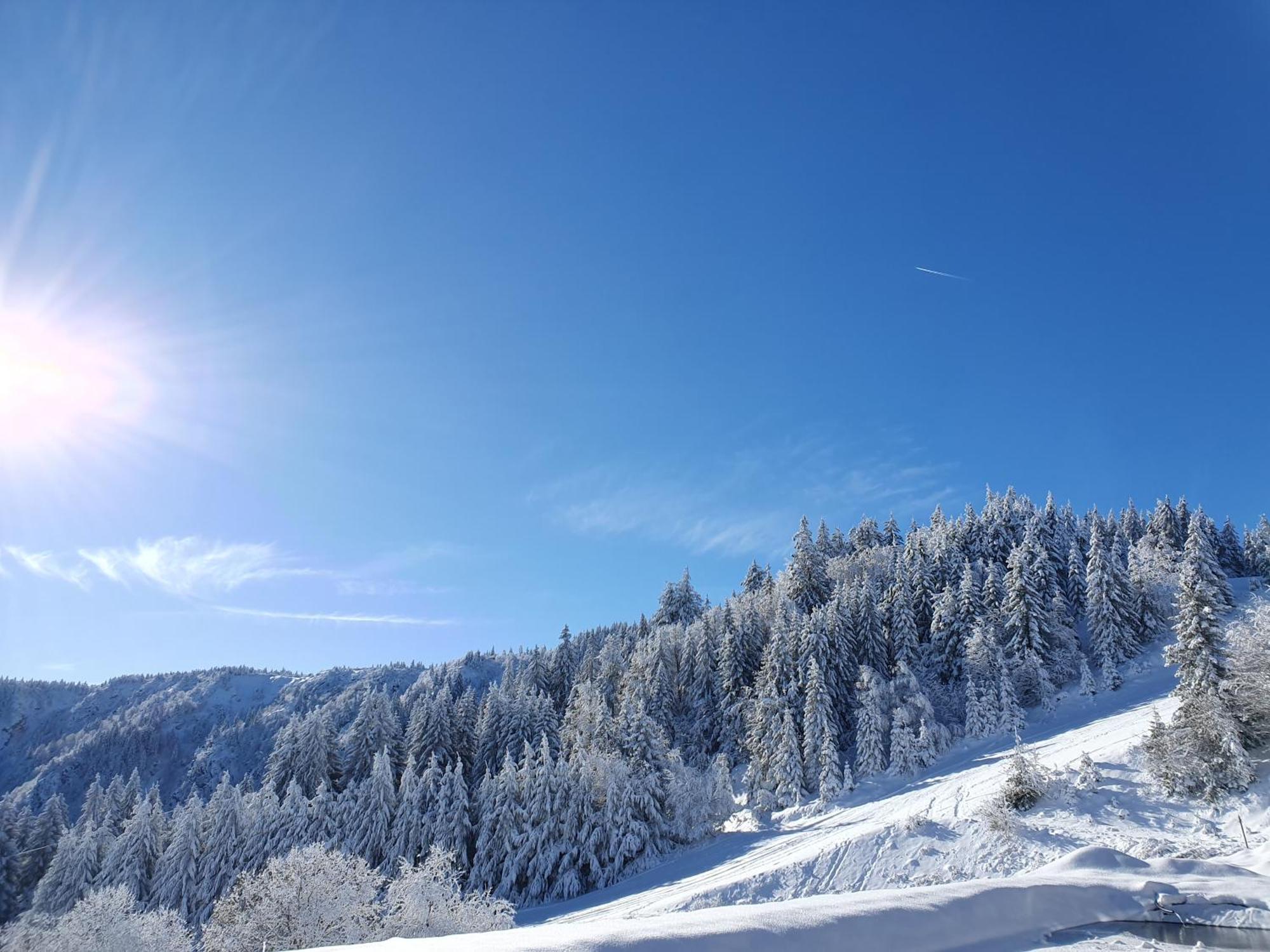 Agreable 3 Pieces Au Lac Blanc Orbey Exterior foto